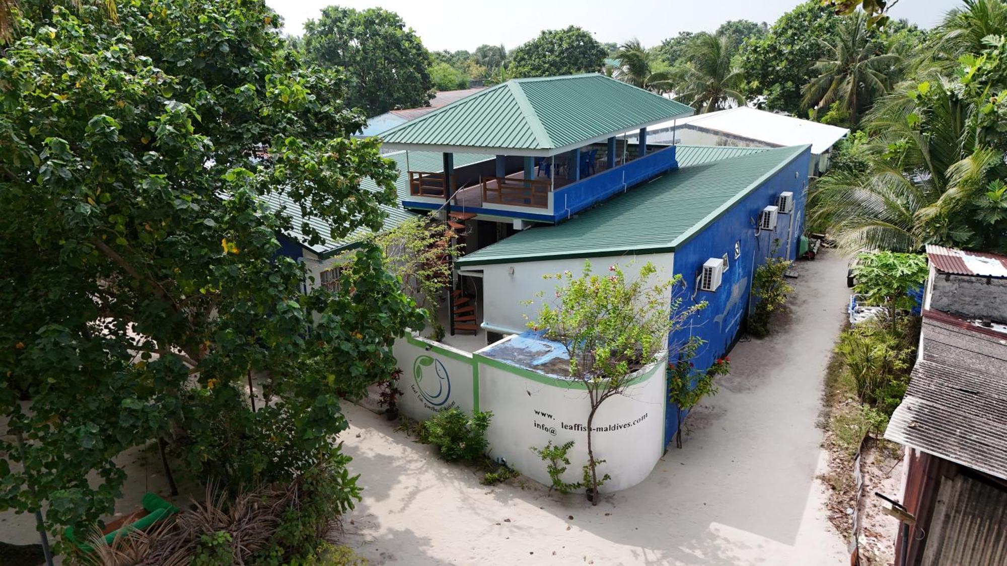 Leaf Fish Guesthouse Maldives Keyodhoo  Zewnętrze zdjęcie